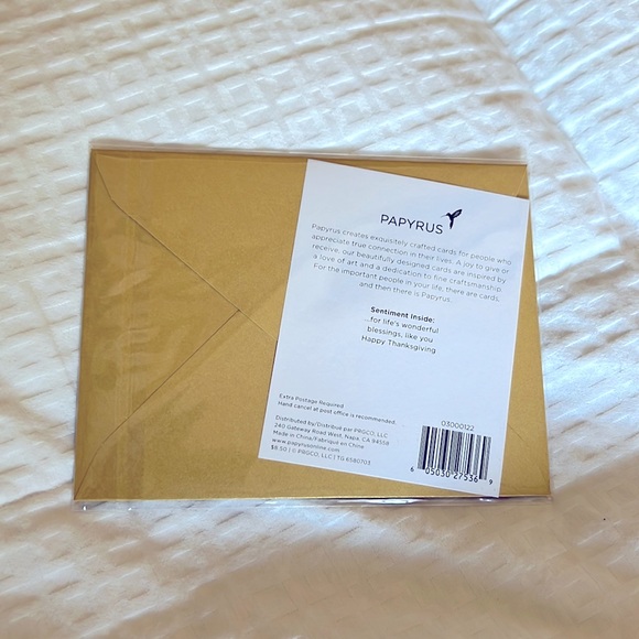 4 Beautiful & Unique Papyrus Thanksgiving Cards - NWT - Picture 9 of 9